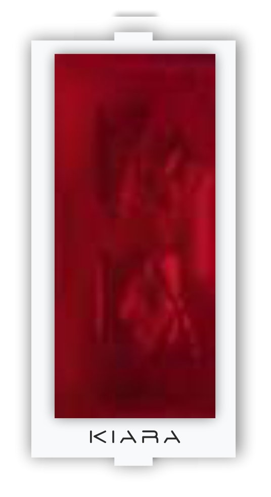 2 in One Charger Socket